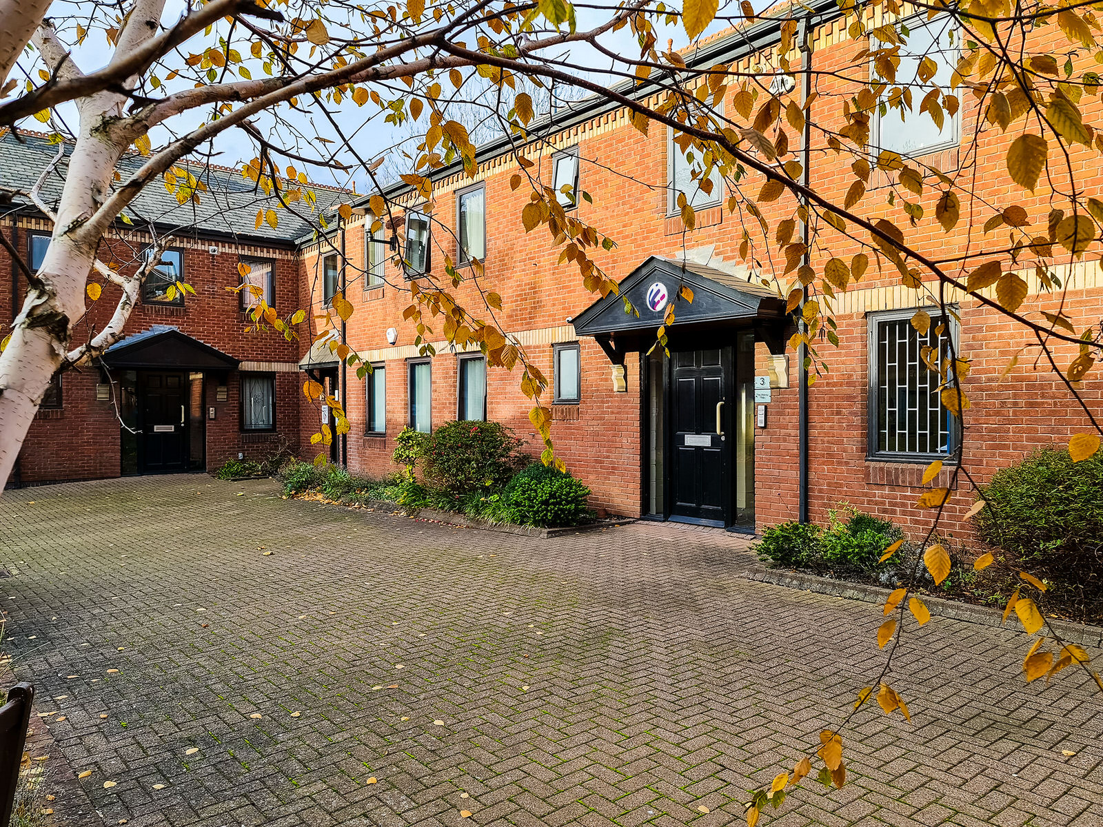 Picture of the KDA Web Services Ltd. offices at Twelve O'clock Court, looking through autumn leaves on a silver birch